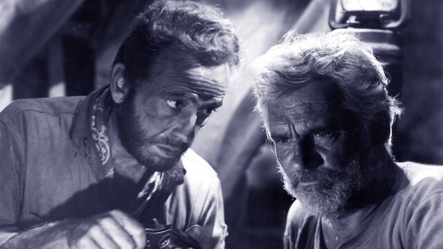 The Treasure of the Sierra Madre