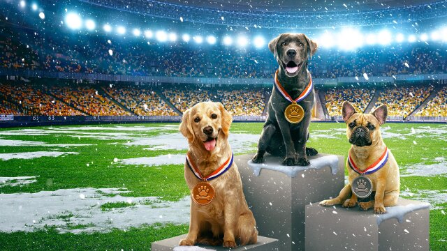 Puppy Bowl Presents: The Winter Games