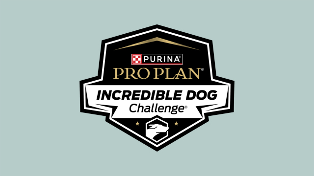 2024 Incredible Dog Challenge