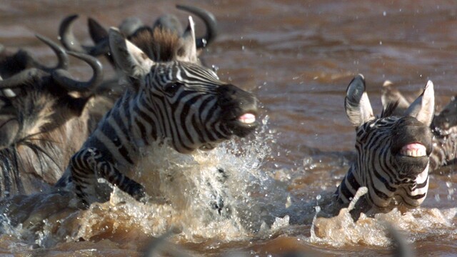 Blood River Crossing