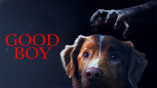 Good Boy