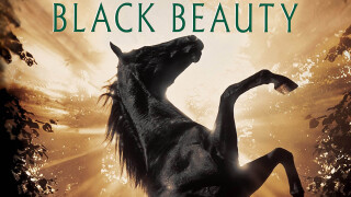 Black Beauty