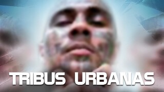 Tribus urbanas