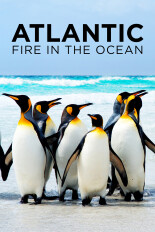 Atlantic: Fire in the Ocean