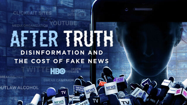 After Truth: Disinformation and the Cost of Fake News