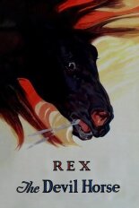 Rex the Devil Horse