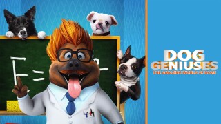 Dog Geniuses