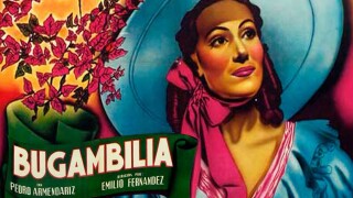 Bugambilia