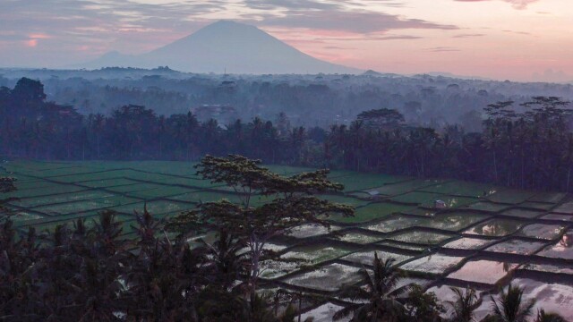 Bali Spirit - Island of the Gods