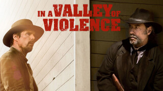 In a Valley of Violence