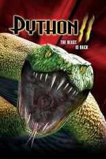 Python 2