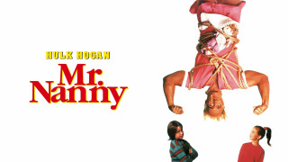 Mr. Nanny