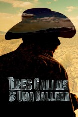 Tres gallos y una gallera