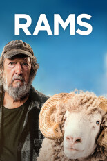 Rams