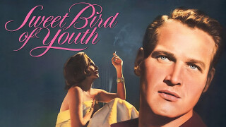 Sweet Bird of Youth