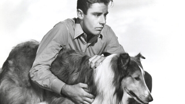 Son of Lassie