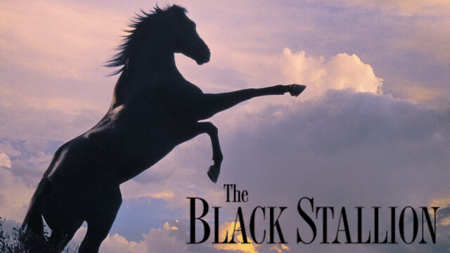 The Black Stallion