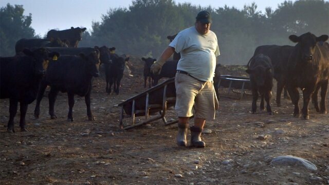 The Bullish Farmer