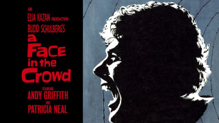 A Face in the Crowd