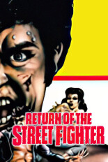 Return of the Street Fighter