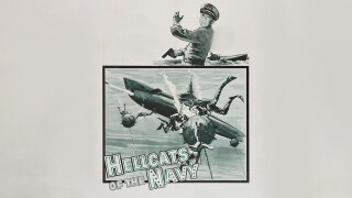 Hellcats of the Navy