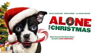 Alone for Christmas