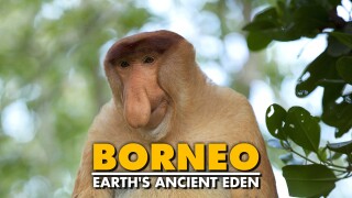 Borneo - Earth's Ancient Eden