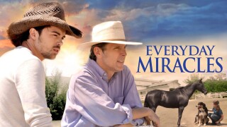 Everyday Miracles