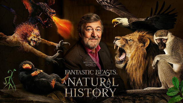 Fantastic Beasts: A Natural History