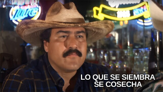 Lo que se siembra se cosecha
