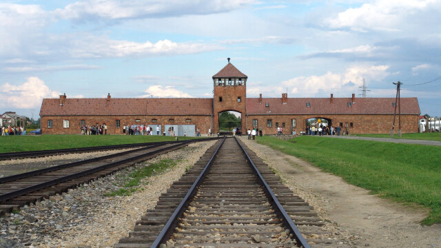 Swimming in Auschwitz