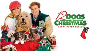 12 Dogs of Christmas: Great Puppy Rescue