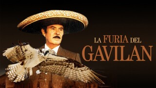 La furia del gavilán