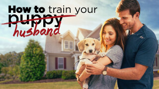How to Train Your Husband