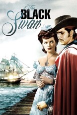 The Black Swan