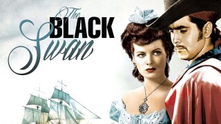 The Black Swan
