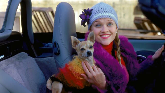 Legally blonde 2024 full movie fmovies