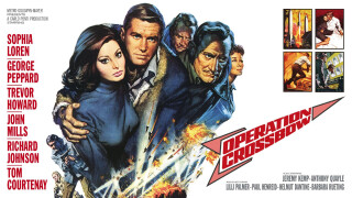 Operation Crossbow