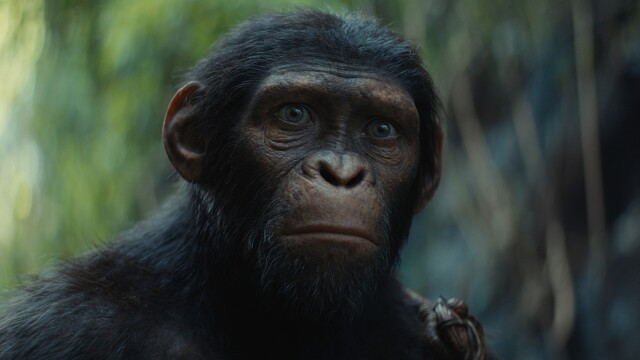 Kingdom of the Planet of the Apes