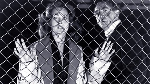 These Are the Damned
