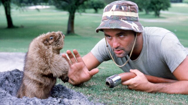 Caddyshack