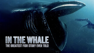 In the Whale: The Greatest Fish Story Ever Told