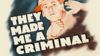They Made Me a Criminal