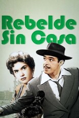 Rebelde sin casa