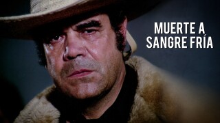 Muerte a sangre fría