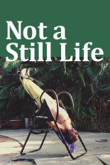 Not a Still Life