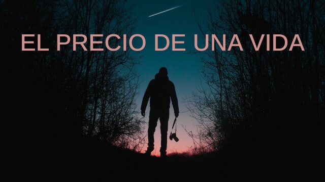 El precio de una vida