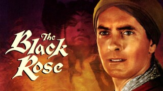 The Black Rose