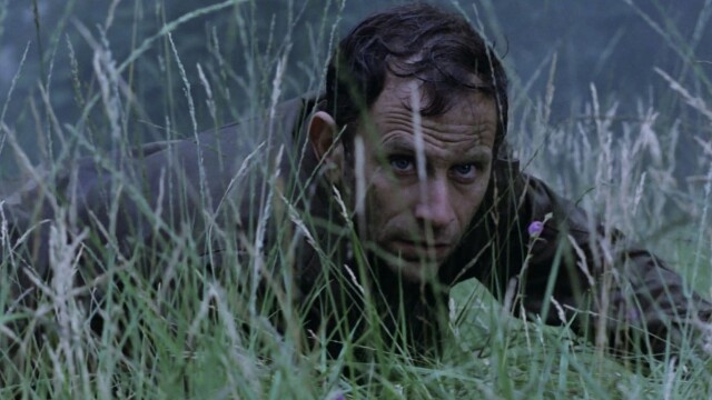 El corazón del bosque