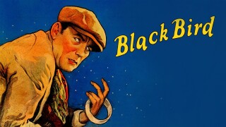 The Blackbird